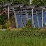 Lueneburger Heide - Rosalie Bad Bevensen