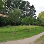 Lueneburger Heide - Rosalie