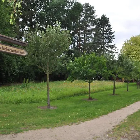 Lueneburger Heide - Rosalie
