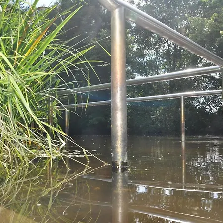 Lueneburger Heide - Rosalie