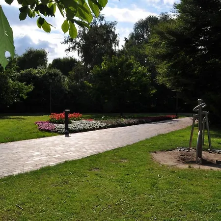 Lueneburger Heide - Rosalie