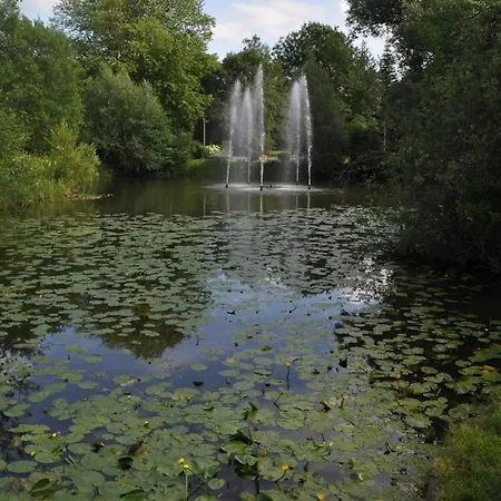 Lueneburger Heide - Rosalie * Bad Bevensen
